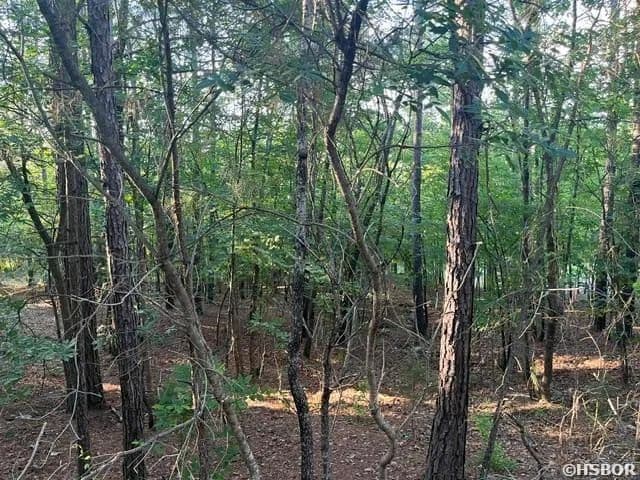 Property from 26 PIOCHA Lane - KW - Hot Springs Village, Arkansas, 71909