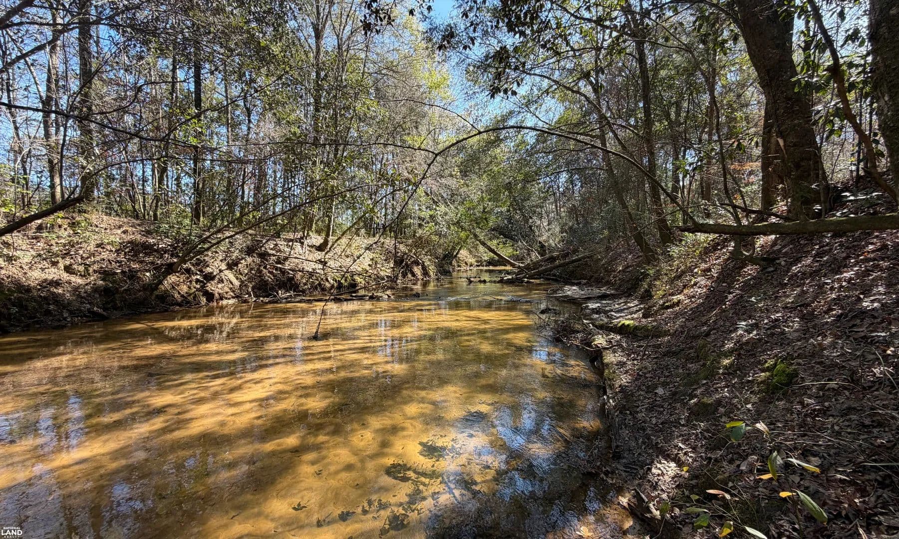 Taylor Mill Rd Recreational Tract A - Elba, Alabama, 36323