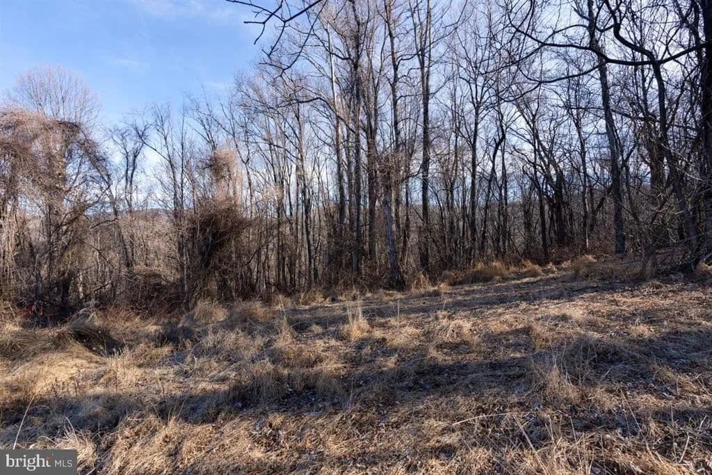 Property from TBD OVERLOOK MOUNTAIN RD - KW - Elkton, Virginia, 22827
