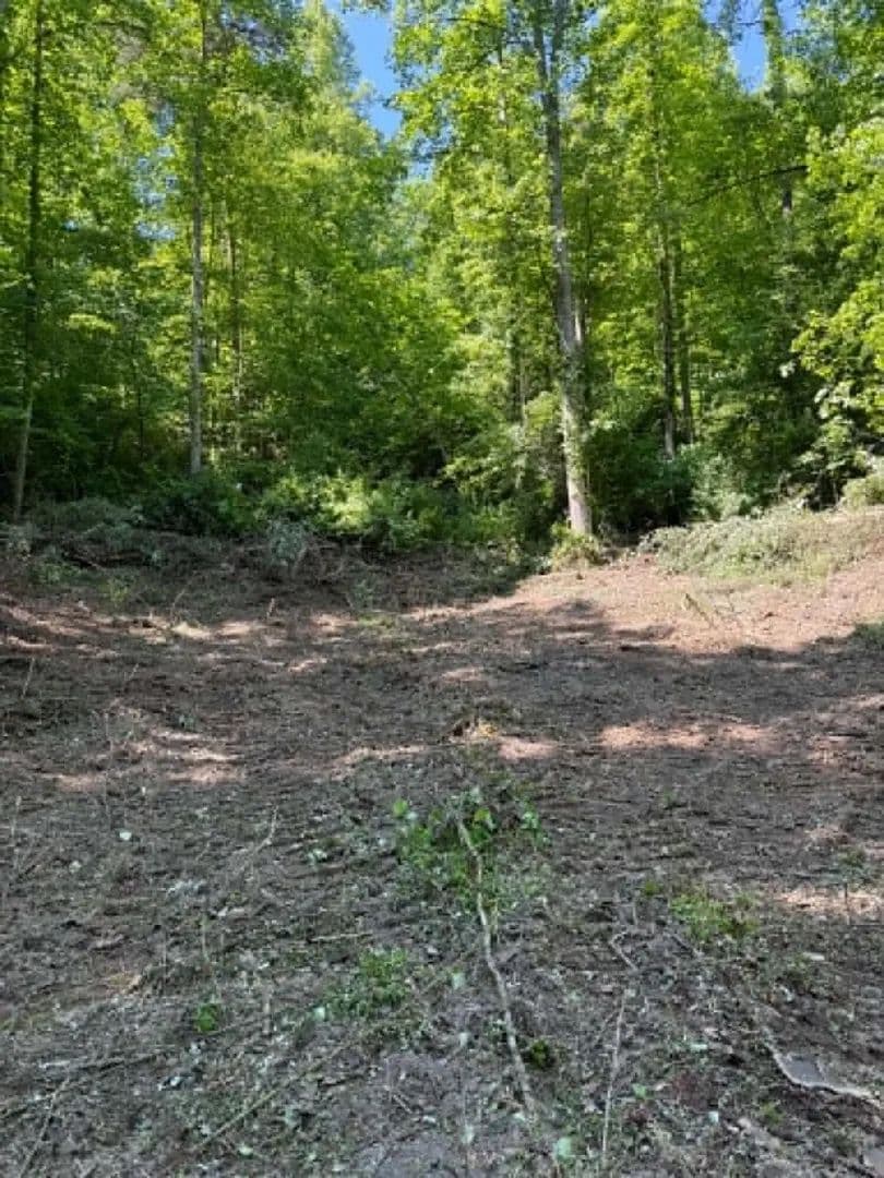 11 Acres of Land for Sale in Sandy Hook, Kentucky - Sandy Hook, Kentucky, 41171
