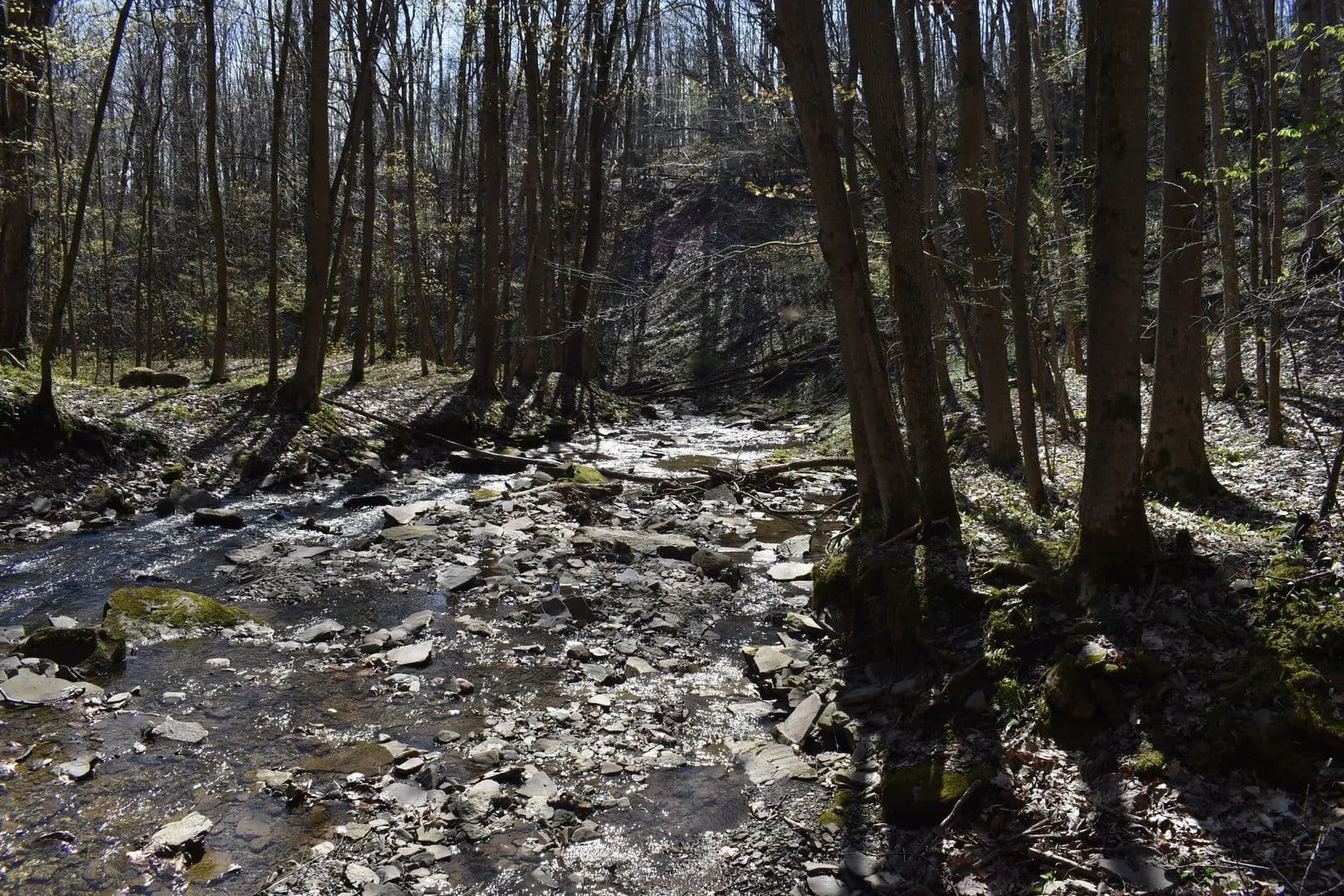 Fuller Gulf - Cherry Creek, New York, 14723