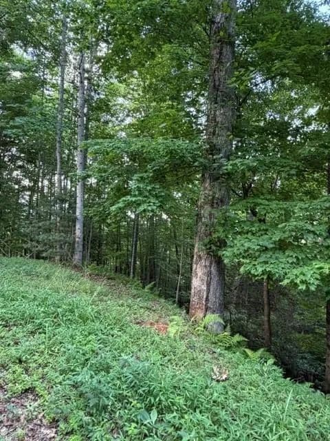 Property from Lot 59 Quiet Mountain Trail - KW - Murphy, North Carolina, 28906