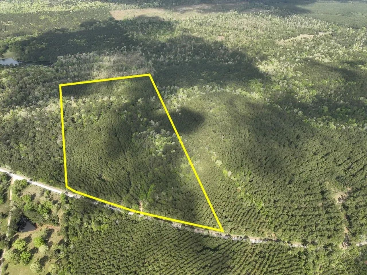 45 Acres | T-2 | CR 4280 | SN6327 - Woodville, Texas, 75979