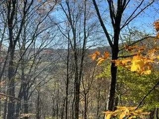 Land -Single Family Acreage in Delhi - Delhi, New York, 13753