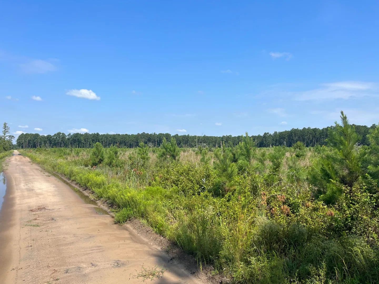 Property from 0 Mahogany Lane - KW - Orangeburg, South Carolina, 29115