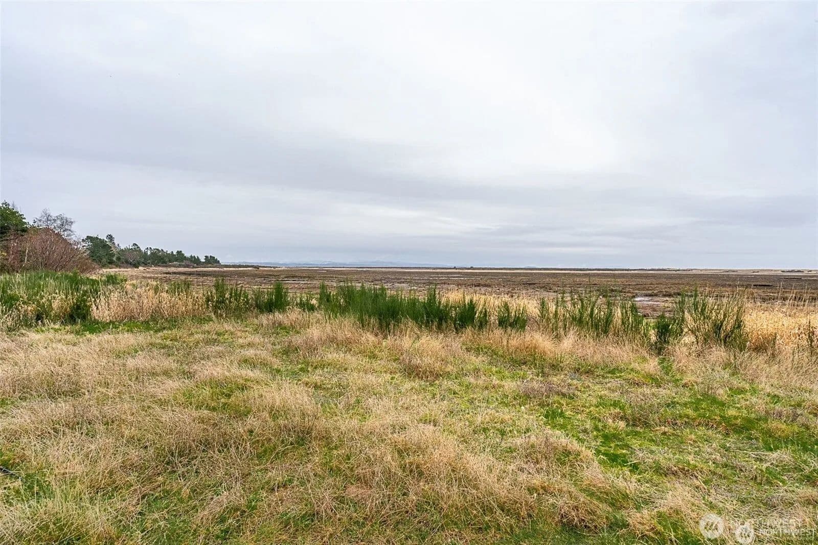 Lots & Land-Other in Tokeland - Tokeland, Washington, 98590