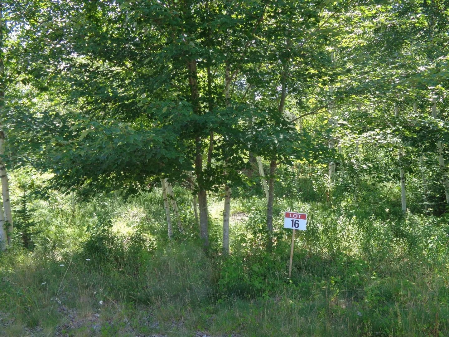Land -Single Family Acreage in Franklin - Franklin, Maine, 04634
