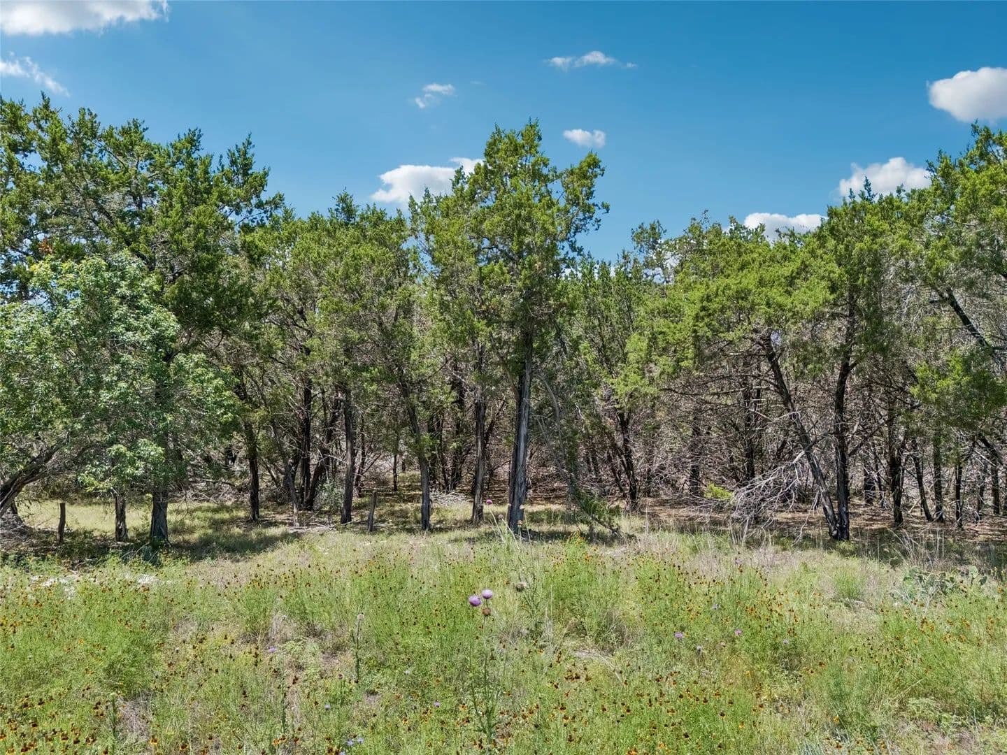 Property from TBD S Rainbow Ranch Road - KW - Wimberley, Texas, 78676
