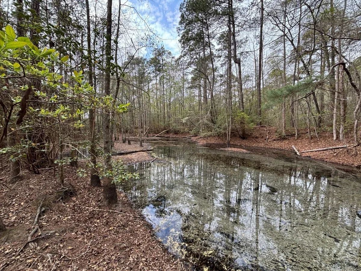 Stone 34 Tract - Mccoll, South Carolina, 29570