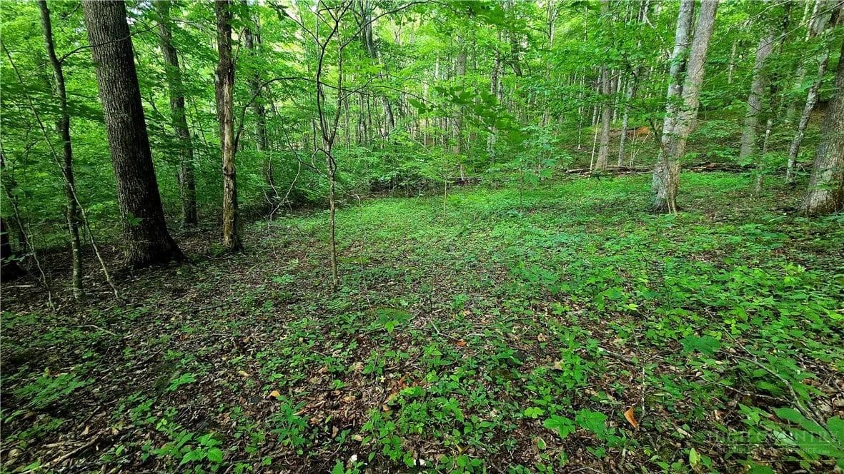 1.63 Acres of Land for Sale in Todd, North Carolina - Todd, North Carolina, 28684