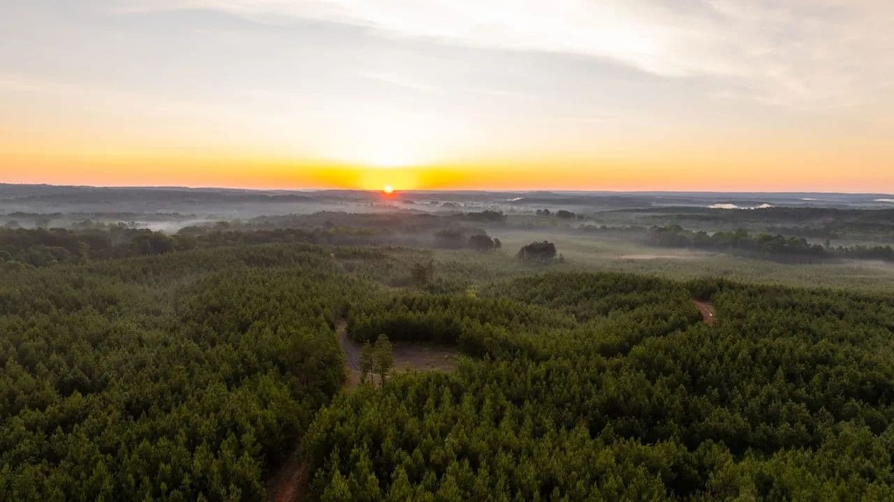 Texas Creek | 278+/- Acres in Tuscaloosa County - Brookwood, Alabama, 35444