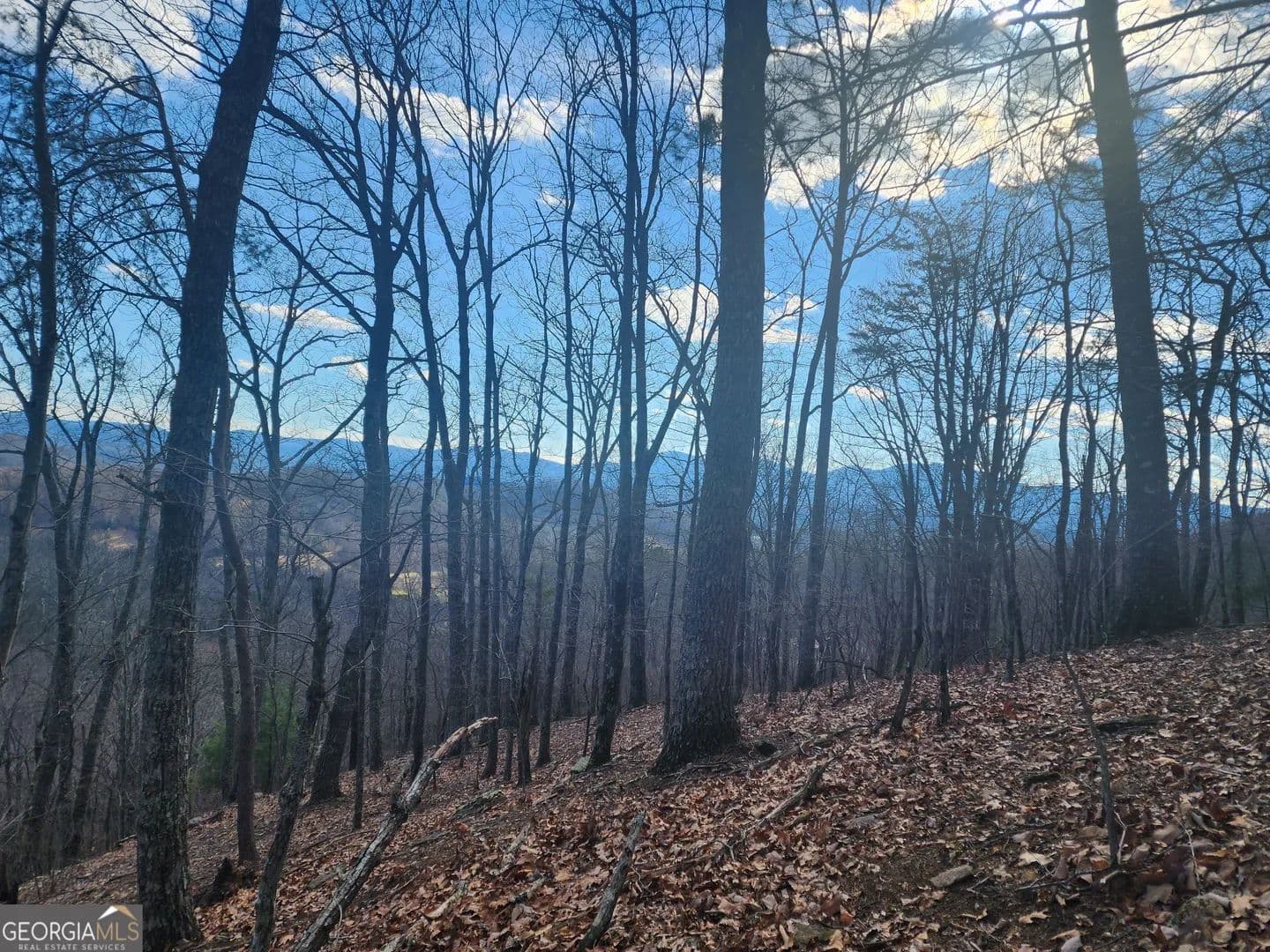 Property from 0 Trackrock Gap Road - KW - Blairsville, Georgia, 30514