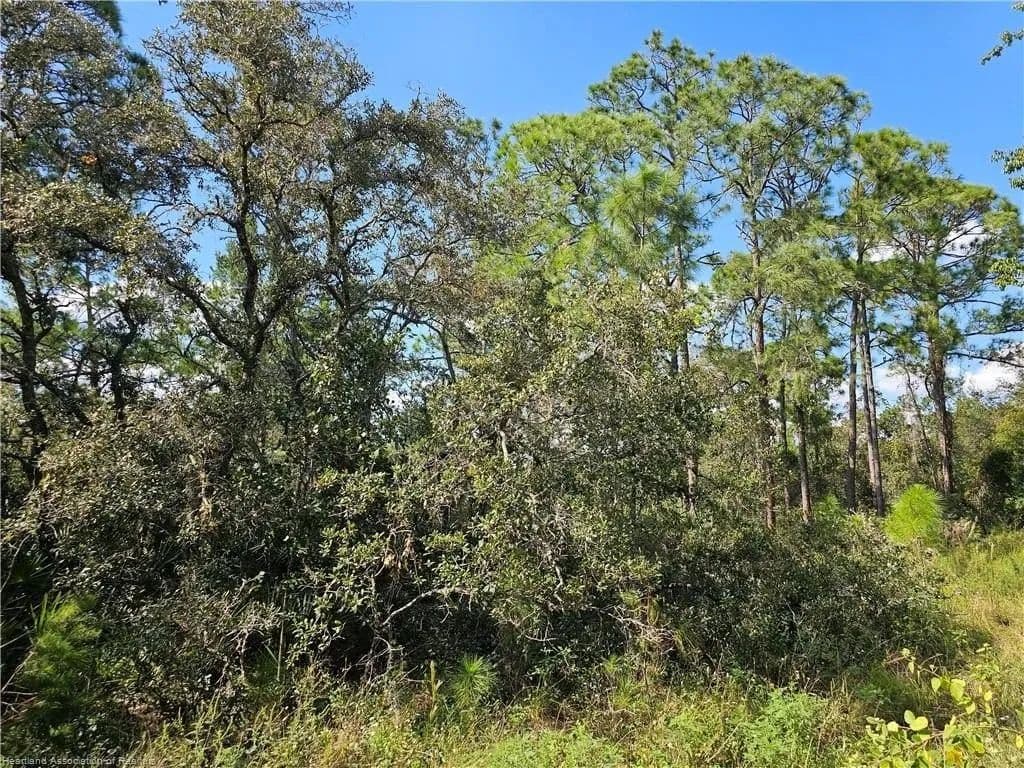 Lots & Land-Other in Sebring - land for sale