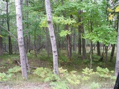 Vacant Land (0-10 Acres) in Canadian Lakes - land for sale
