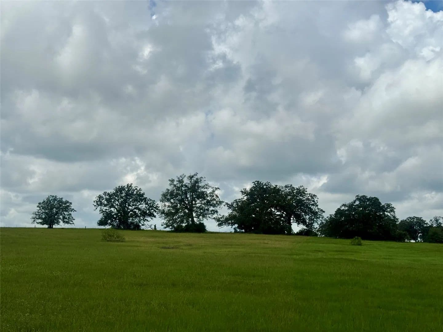 Property from 1390 Connor Landing - KW - Madisonville, Texas, 77864