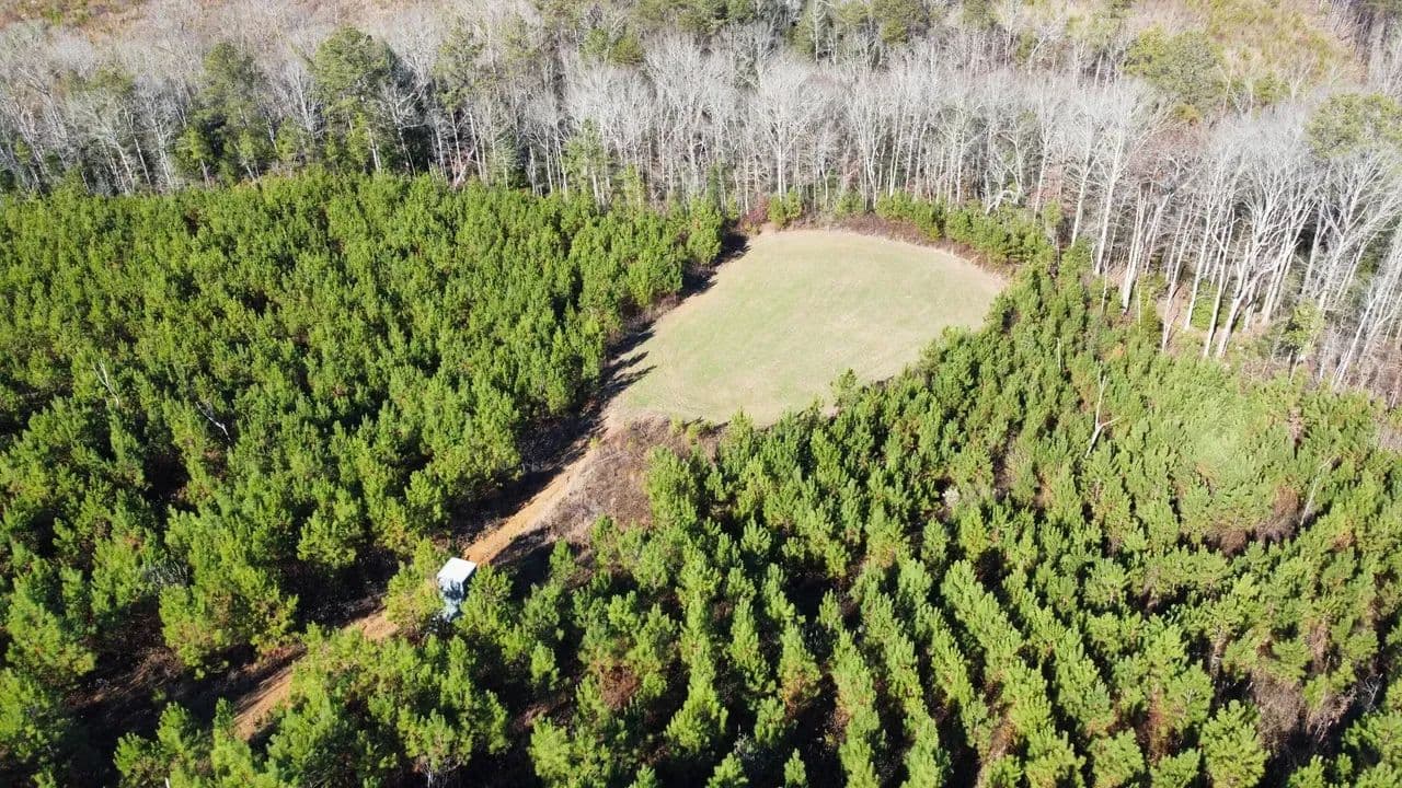 Marion County 70 - Winfield, Alabama, 35594