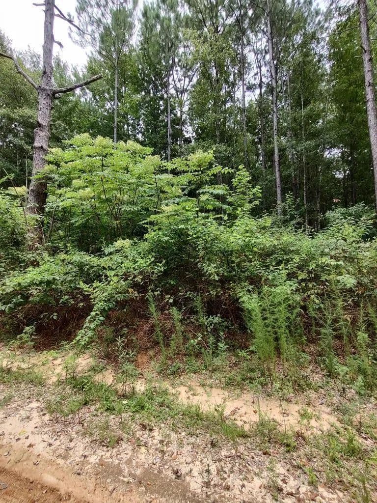 Property from 0 Lakeshore Dr. - KW - Lumberton, Mississippi, 39455