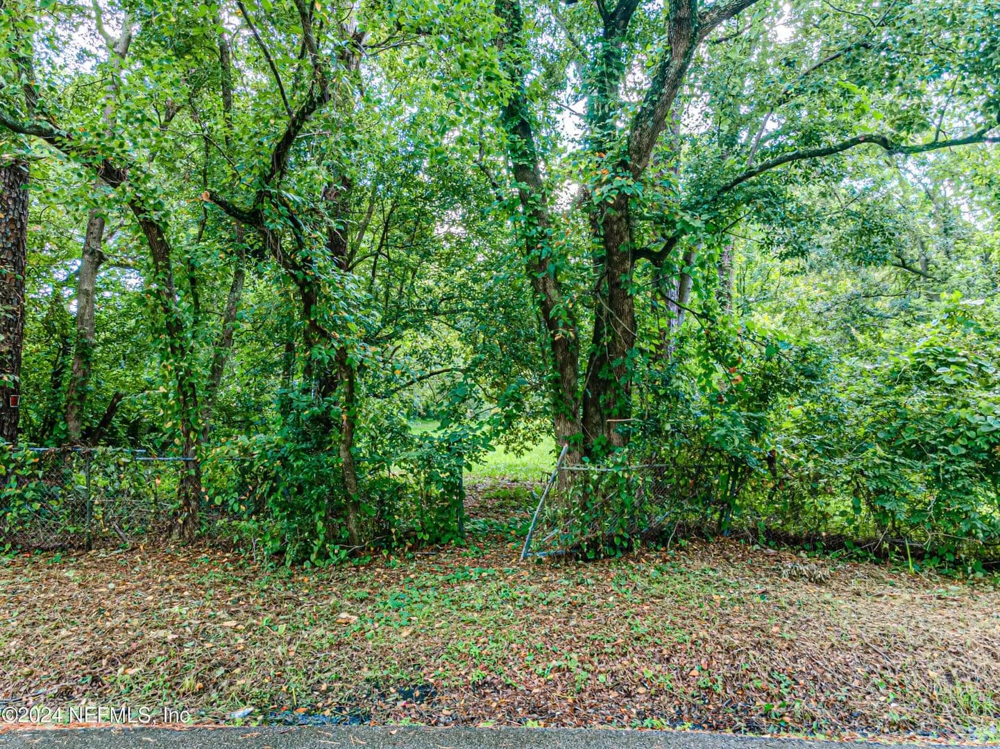 Vacant Land in Jacksonville - Jacksonville, Florida, 32254