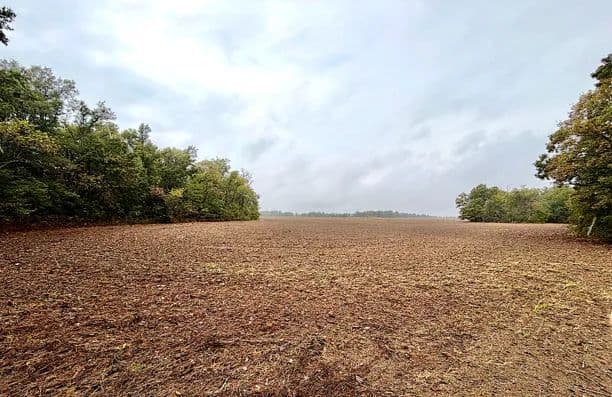 40 Acres in Tunica County in Dundee, MS