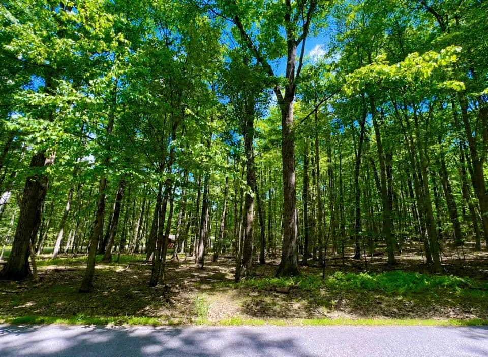 Property from 14B 428 DOMINICA RD - KW - Dubois, Pennsylvania, 15801