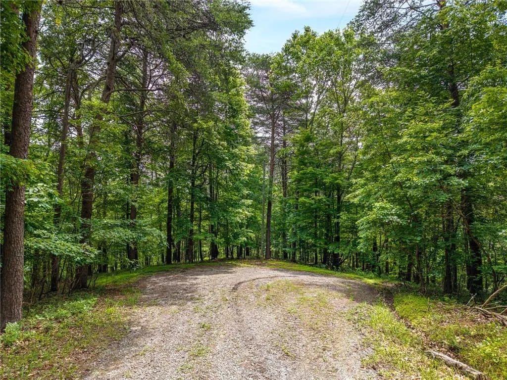 Property from 1331 Birch Lane NE - KW - Ranger, Georgia, 30734