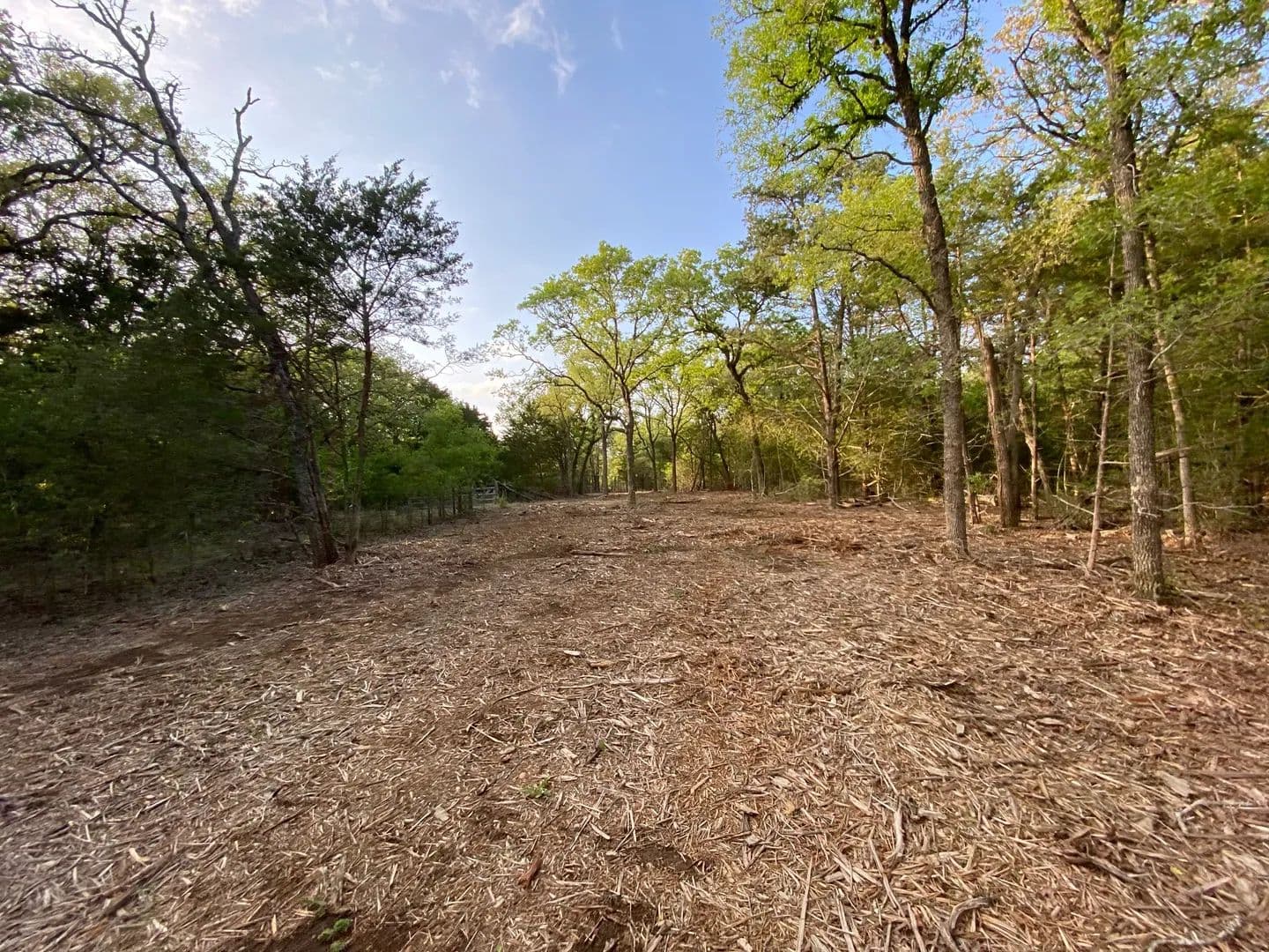 16 Acres of Land for Sale in Paige, Texas - Paige, Texas, 78659