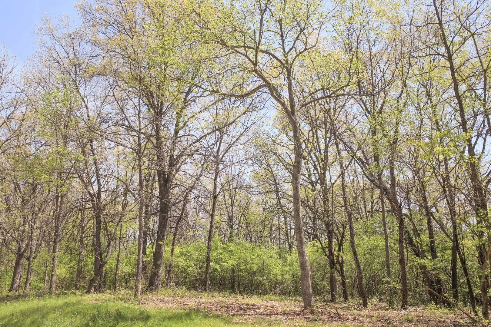 2.25 Acres of Land for Sale in Marengo, Illinois - Marengo, Illinois, 60152