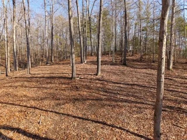 Lots & Land-Other in Talking Rock - Talking Rock, Georgia, 30175