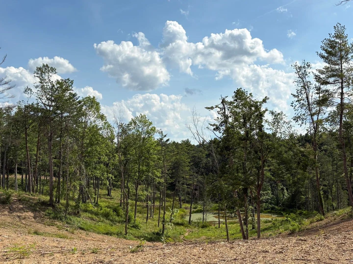 30.72 Acres of Land for Sale in Pipestem, WV - Pipestem, West Virginia, 25979