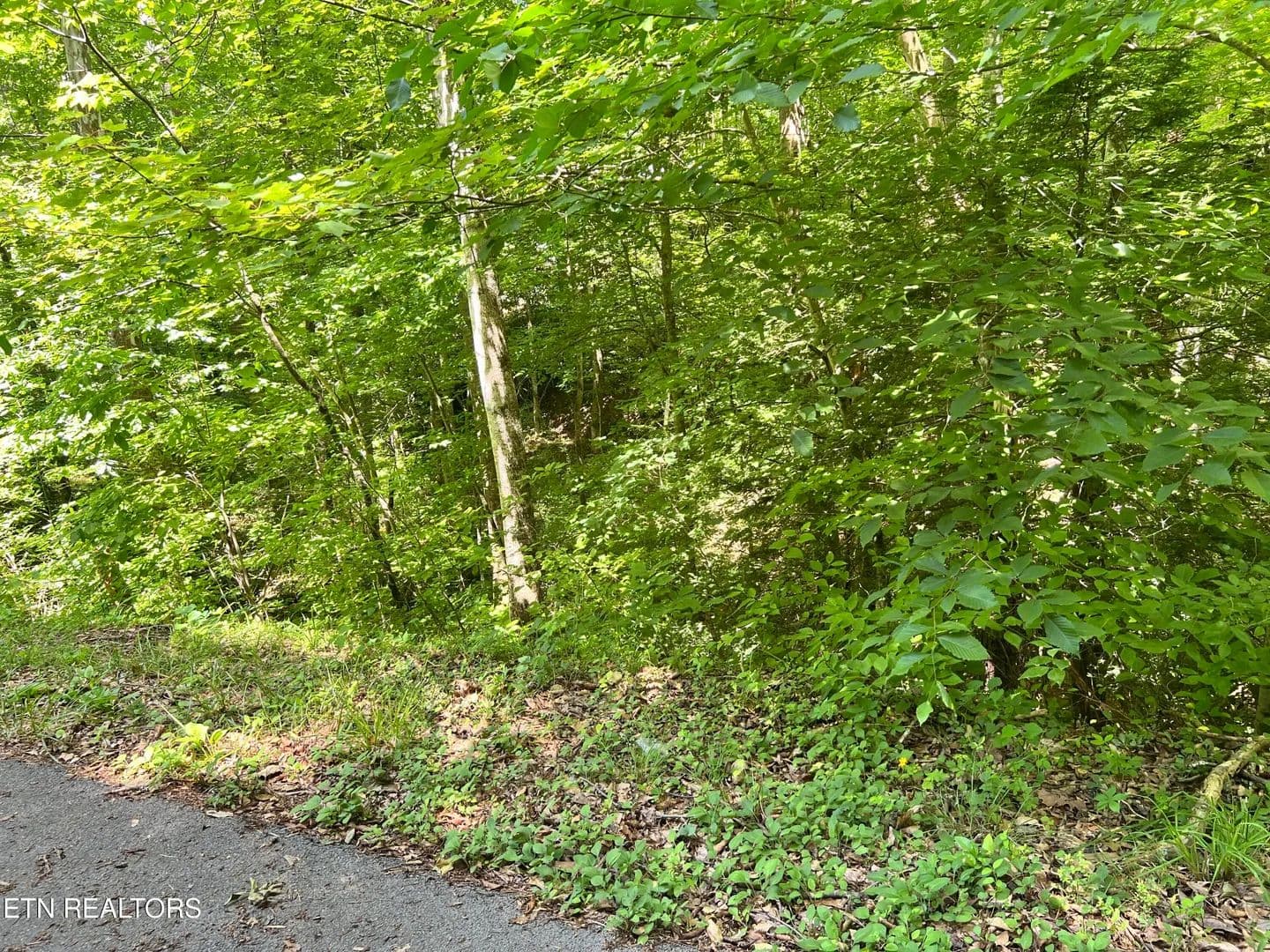 Property from Fir Drive #Lot 110 - KW - Sevierville, Tennessee, 37876