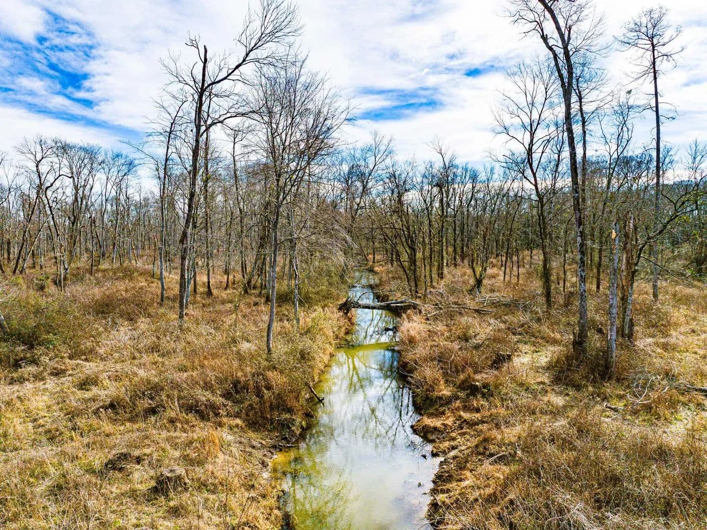 240 Acres of Land for Sale in Puryear, TN - Puryear, Tennessee, 38251
