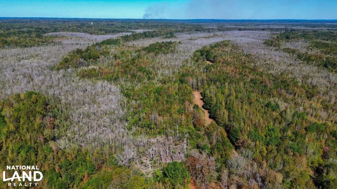 Dallas Co Hwy 14 Deer Duck and Turkey Tract - Selma, Alabama, 36701