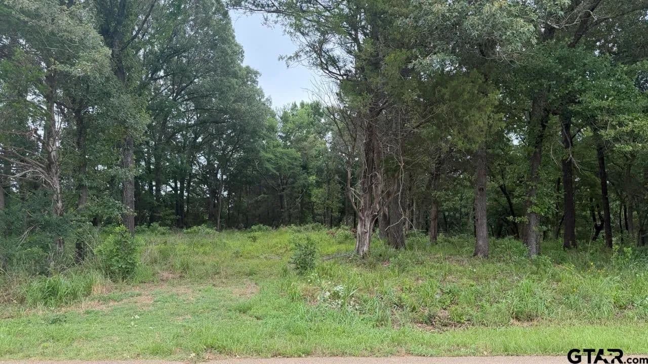 4.1 Acres of Land for Sale in Tyler, Texas - Tyler, Texas, 75704
