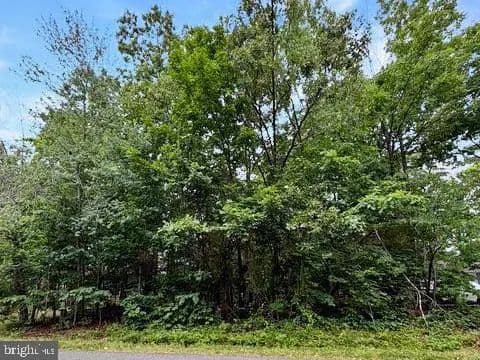 0.35 Acres of Land for Sale in LOCUST GROVE, VA - Locust Grove, Virginia, 22508