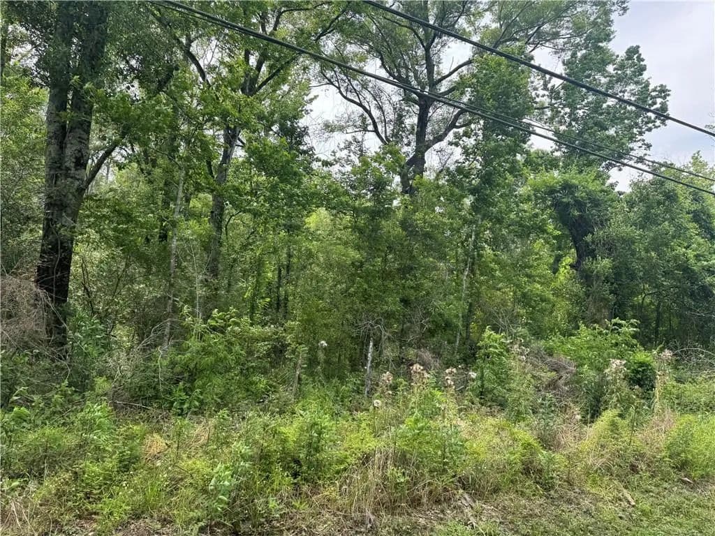 1.5 Acres of Land for Sale in Roseland, Louisiana - Roseland, Louisiana, 70456