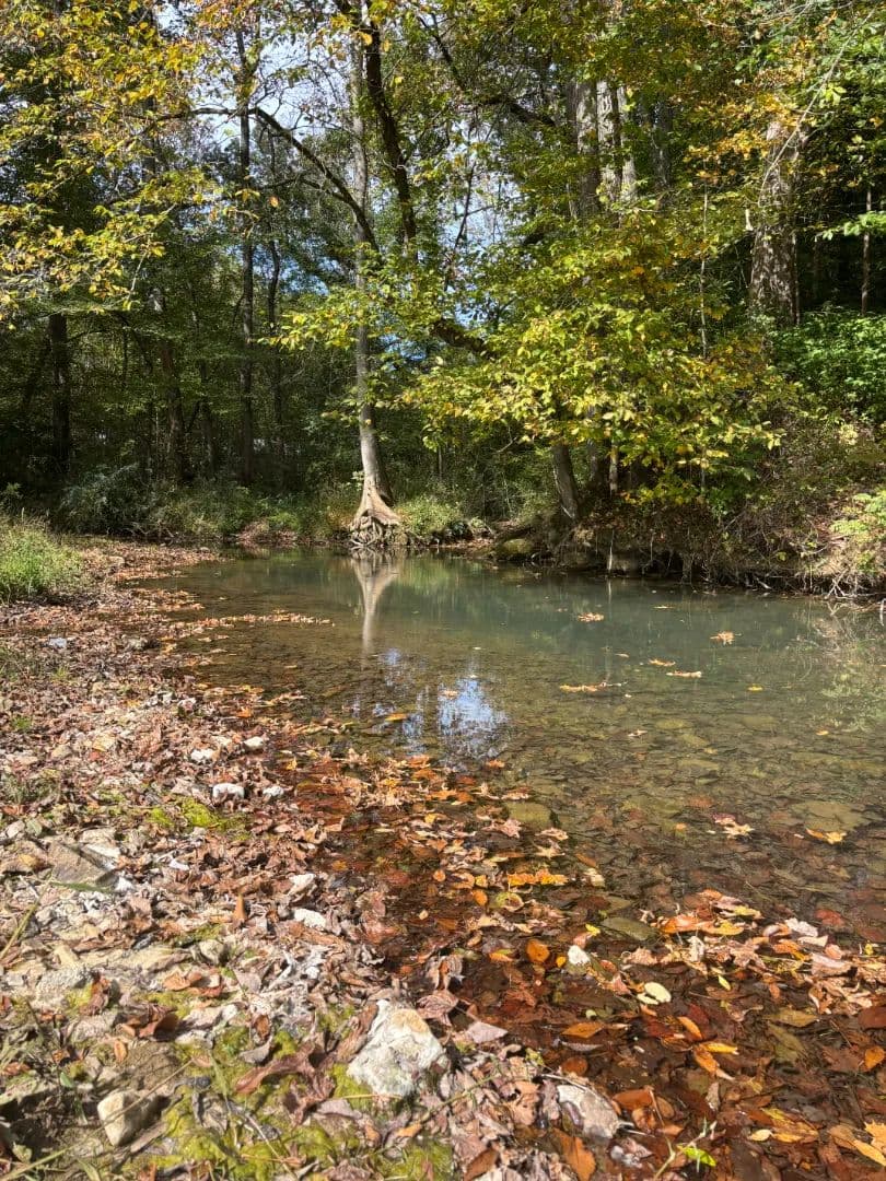 24.33 Acres with a Home in Bledsoe County, TN