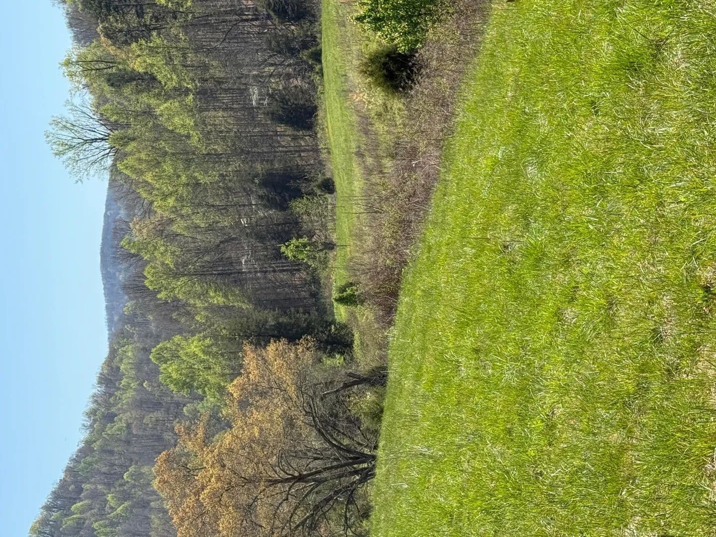 Property from 0000 Goshen Valley (65 acres) Road - KW - Church Hill, Tennessee, 37642