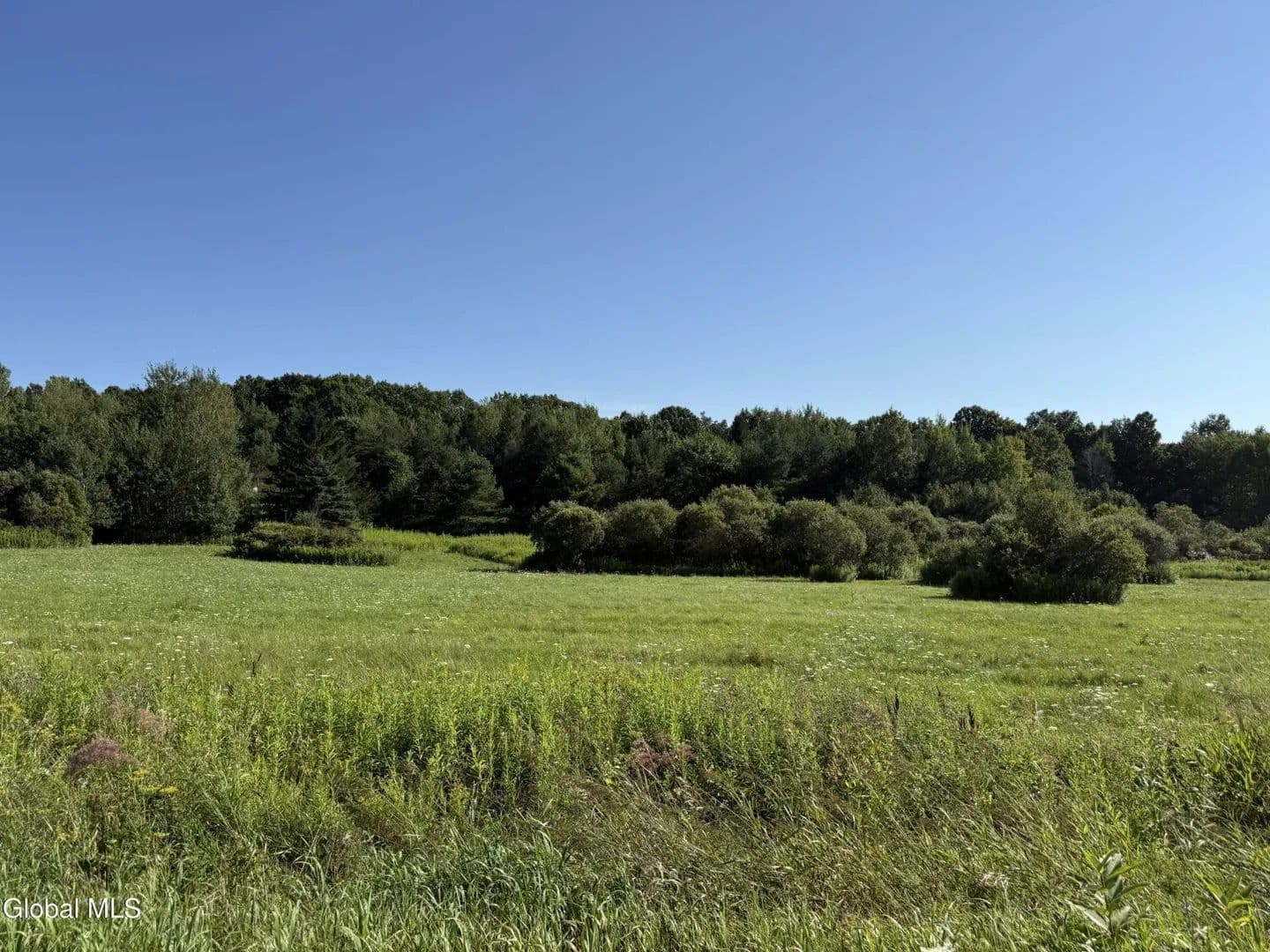 Land -Single Family Acreage in Esperance - Esperance, New York, 12066