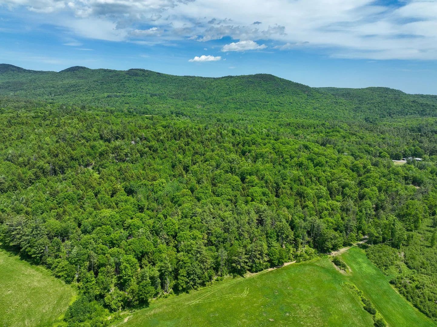 32.65 Acres of Land for Sale in Dixfield, ME - Dixfield, Maine, 04224