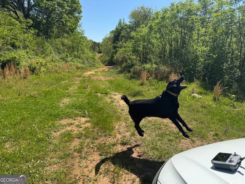 Property from 0 Us 53 Highway - KW