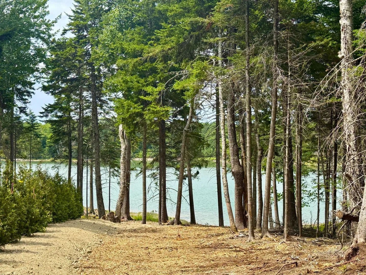 Land -Single Family Acreage in Steuben - Steuben, Maine, 04680