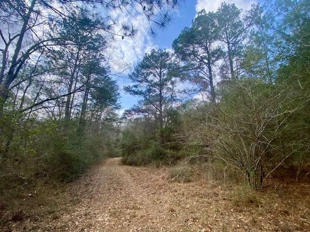 10 Acres | Summit, MS - Summit, Mississippi, 39666