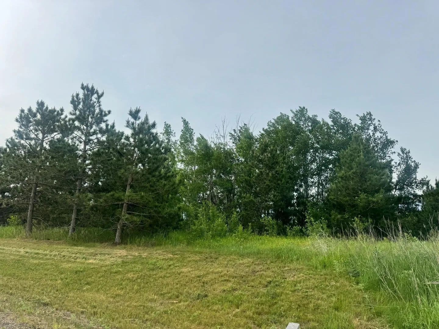 Property from TBD Tract 3 County 13 - KW - Nevis, Minnesota, 56467