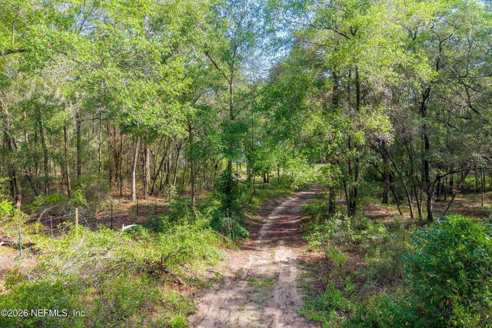 7.35 Acres of Land for Sale in Keystone Heights, Florida - Keystone Heights, Florida, 32656