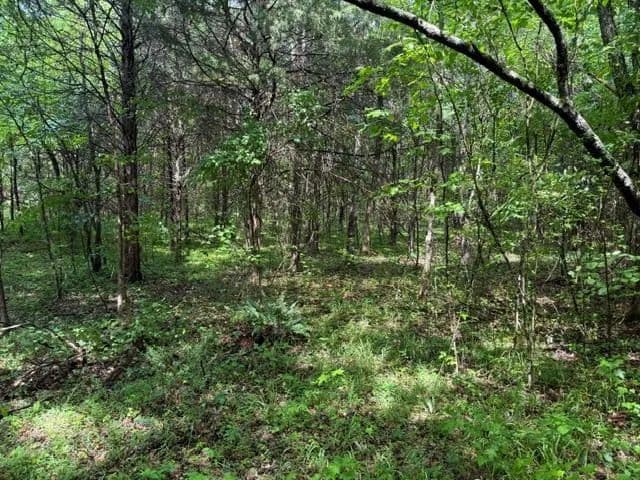 Property from 04 Freeze Rd. - KW - Morrison, Tennessee, 37357