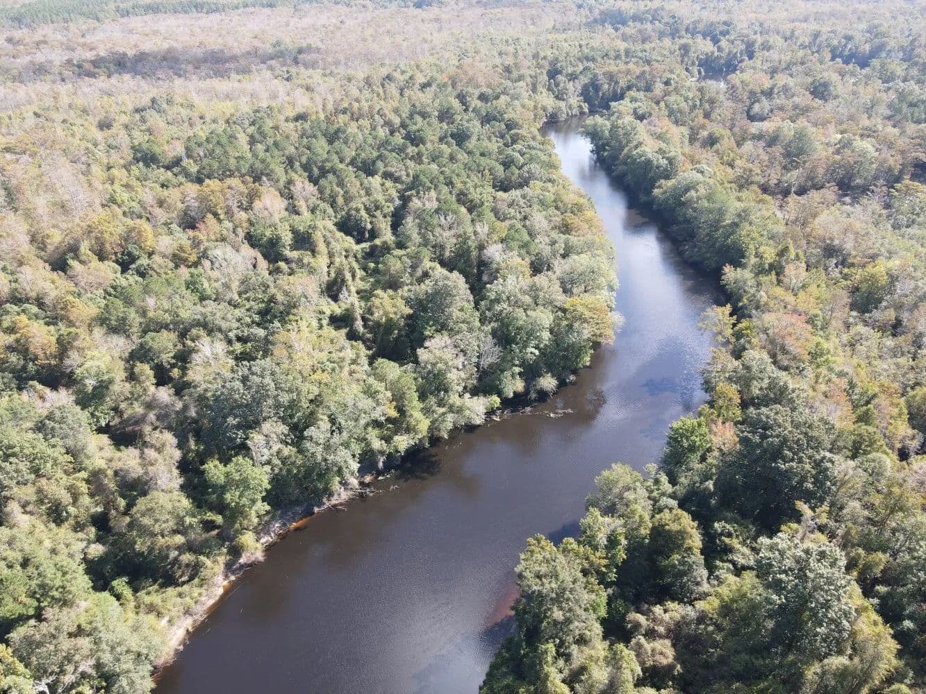 Pender County Riverfront Hunting Land - Burgaw, North Carolina, 28425
