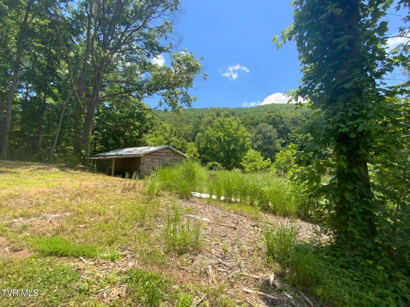 24.43 Acres of Land for Sale in Blackwater, VA - Blackwater, Virginia, 24221