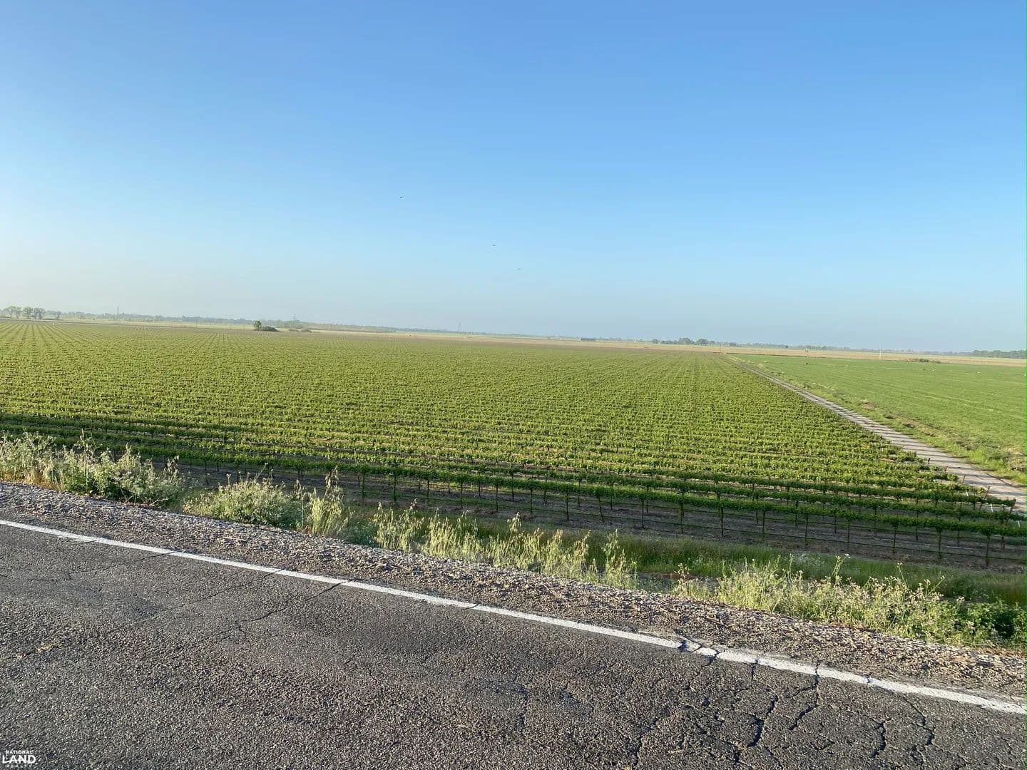 Pintail Ranch - Clarksburg, California, 95612