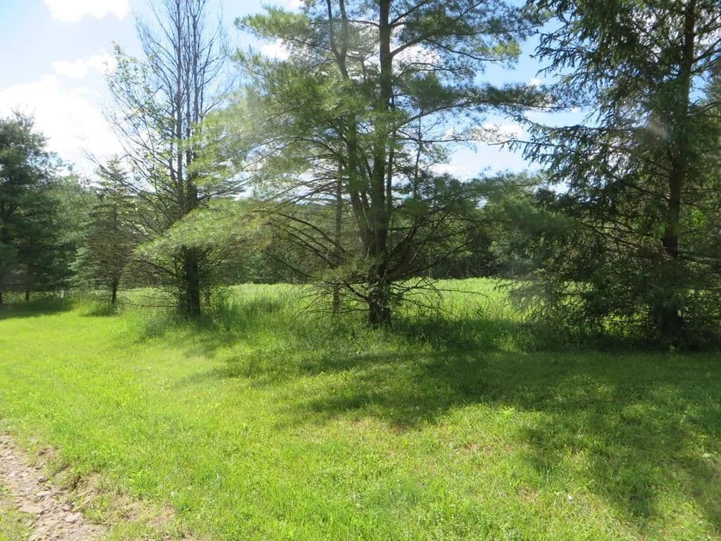 Property from 0 Roland Road - KW - Shunk, Pennsylvania, 17768