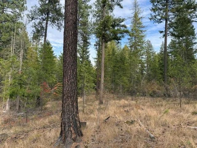 Vacant Land (0-10 Acres) in Priest River - Priest River, Idaho, 83856